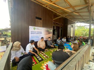 Perkuat Peternakan Lokal, 58 Sapi Aspirasi Andi Satya Disalurkan ke Kelompok Tani Samarinda