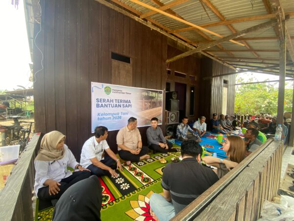 Perkuat Peternakan Lokal, 58 Sapi Aspirasi Andi Satya Disalurkan ke Kelompok Tani Samarinda